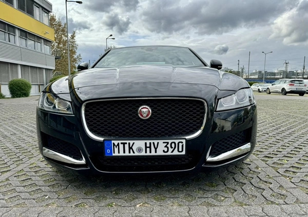 Jaguar XF cena 159900 przebieg: 39500, rok produkcji 2020 z Częstochowa małe 667